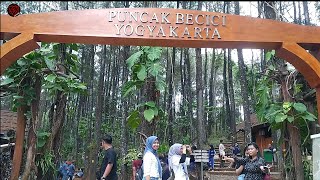 puncak becici yogyakartasawahyangindah pemandangansawahdidesa yogyakartaindonesia [upl. by Skutchan]