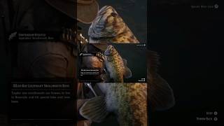 RDR2 legendary small mouth bass location rdr rdr2 fishing legendaryfish fyp shorts [upl. by Acinorahs]