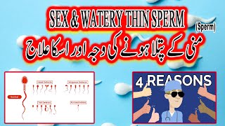 Sex And Watery Thin Sperm I Mani Ka Patla Hona I DrZahid Ansari I sexandwatery [upl. by Henrik749]