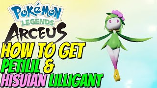 How to get PETILIL amp HISUIAN LILLIGANT in Pokémon Legends Arceus [upl. by Mendelson]