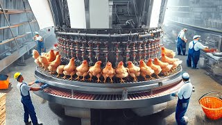 This is how the largest chicken factory works The machine that slaughters 10000 chickens in 1 hour [upl. by Draner]