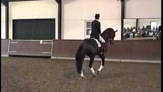 3 Leader Of World Ranking Dressage  GP KWPN stallion Jazz sCocktail [upl. by Esiralc674]