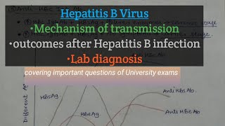 Hepatitis B Virus  Hepatitis B Virus Lab diagnosis with Notes  Outcomes After Hep B InfectionMBBS [upl. by Chelsy104]