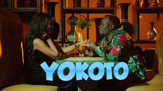 Yokoto 💙 David Lutalo Ft Pafect Official Music Video [upl. by Arney]