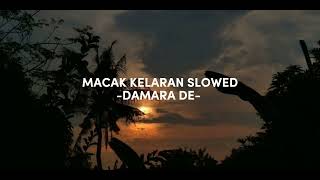 MACAK KELARAN quotdamara dequot versi slowed [upl. by Luella275]