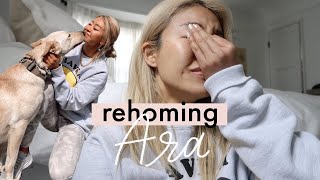 Rehoming my dog Ara  Ep 6  RRAYYME [upl. by Noda488]