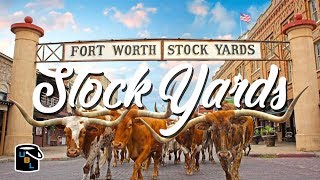 Fort Worth Stockyards  Cowboy Experience [upl. by Yleoj]