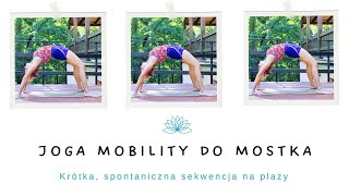 Joga Flow Mobility  Scandasana i Putvottanasana początek wstęp do sekwencji [upl. by Sirromaj713]