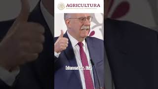 SIGUEN LOS PROGRAMAS DE AGRICULTURA BIENESTAR SADER [upl. by Sofko]