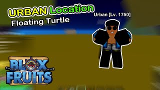 URBAN location Floating Turtle Blox Fruits 2023 [upl. by Jasmina]