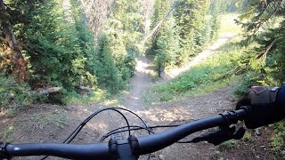 Revenge Bike trail Big Sky Resort [upl. by Enilrem]