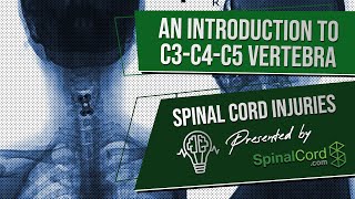 C3 C4 C5 Definitions Cervical Spinal Cord Injury Symptoms Causes Treatments and Recovery [upl. by Lrig]