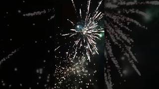 Lidl The New Beastmaster fireworks feuerwerk silvester [upl. by Eisor]