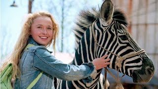 Racing Stripes Full Movie Facts And Review  Bruce Greenwood  Hayden Panettiere [upl. by Aihsilef]