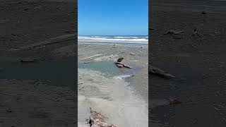 Beach Tasman Sea Sunshine Life is good in New Zealand today [upl. by Marmaduke]