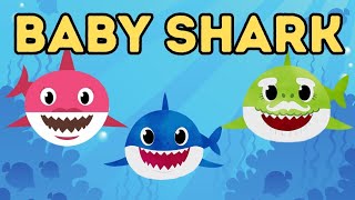 Baby shark doo doo  kids song  baby shark fun song [upl. by Eema]