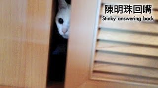 陳明珠回嘴 Stinky answer back [upl. by Aiym54]