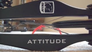 Bear Attitude Review [upl. by Turmel]