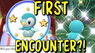 SHINY PIPLUP FIRST ENCOUNTER WORLDS FASTEST SHINY HUNT Pokemon Brilliant Diamond [upl. by Ahsoyek]