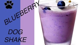 BLUEBERRY DOG SHAKE  COCONUT MILK MUTT SHAKE DIY Dog Food by Cooking For Dogs [upl. by Ateloiv]