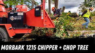 Morbark 1215 Brush Chipper  Chop Tree [upl. by Ellerahs]