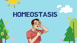 What is Homeostasis in Biology [upl. by Auhsot]