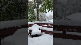 A snow storm in September in alaska alaska alaskan alaskalife alaskawinter winter [upl. by Campy]