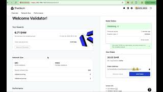 Shardeum node active validator Possible Airdrop and test net coins [upl. by Wrand]