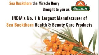 Benefits of Biosash Sea buckthorn [upl. by Wolfson]