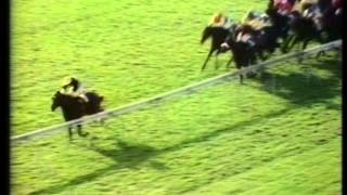 1971 Dewhurst Stakes [upl. by Rufford]