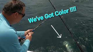 Jigging for Amberjack on a Wreck off of NC coast 😃😁🤢 fishing saltwaterfish jigging [upl. by Aiym]