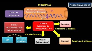 Minerales Cobre [upl. by Zins]