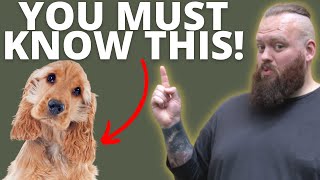 3 THINGS TO KNOW BEFORE GETTING A COCKER SPANIEL [upl. by Naashar]