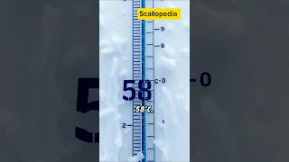 Oymyakon Coldest City in the World encyclopedia oymyakon temperature [upl. by Evelc]