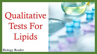 Qualitative Tests for Lipids  What are Lipids  Examples of Lipids [upl. by Odab]