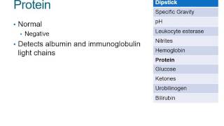 How to Read a Urinalysis Result [upl. by Richers]