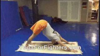 Yoga For Fighters Yoga for Gracie Brazilian JiuJitsu BJJ and Mixed Martial Arts  Gracie JiuJitsu Yoga Poses Breathing and Stretches [upl. by Zerk211]