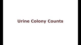 Urine Colony Counts [upl. by Hills]