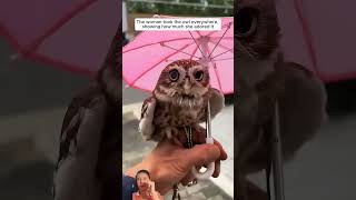 KindHearted Family Rescued A Baby Owl And Adopted It short animal loveanimalstl [upl. by Loss487]