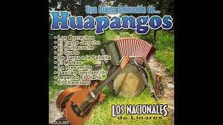 Los Nacionales de Linares  el huitlacoche 🎶 [upl. by Ecirpac]