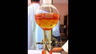 protocole extraction du lycopène du jus de tomate [upl. by Colfin]