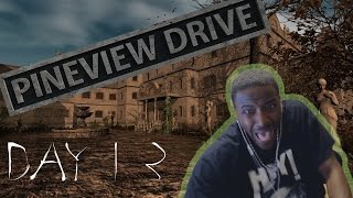 Pineview Drive Gameplay Walkthrough DAY 13 CROWS  HORROR GAME [upl. by Nomed]