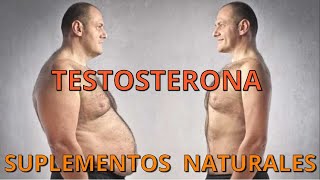 QUÉ SUPLEMENTOS NATURALES AUMENTAN TU TESTOSTERONA SIN FUERZA DE VOLUNTAD [upl. by Ajile702]