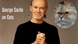 George Carlin on Cats [upl. by Atteuqal]