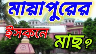 Mayapur ISKCON  Nikhil Vubon  মায়াপুর দর্শন [upl. by Eta907]