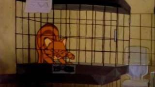 Garfield and His 9 Lives  Life No 7 [upl. by Animrac]