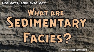 What Are Sedimentary Facies [upl. by Ddal]