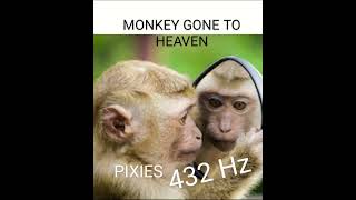 Pixies Monkey Gone To Heaven 432Hz [upl. by Larina]