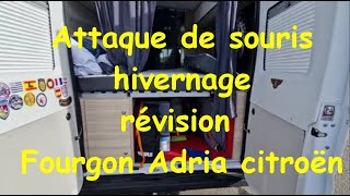 Nouvelle installation Hivernage les souris misère Info révision fourgon Adria twin [upl. by Eliezer958]