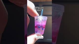 making a mini berry refresher shaker miniatures miniverseremix [upl. by Jr]